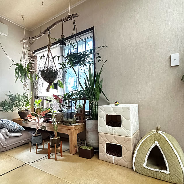 greycatsさんの部屋