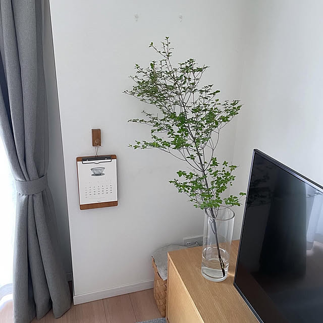 Roloさんの部屋