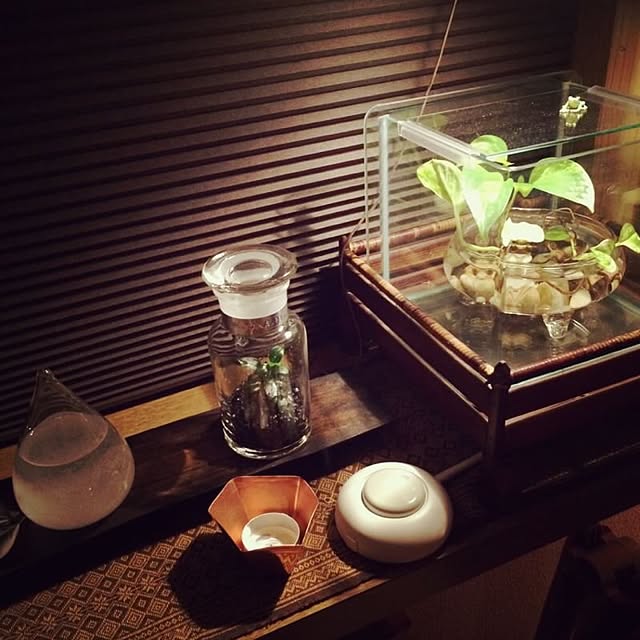 amaneさんの実例写真