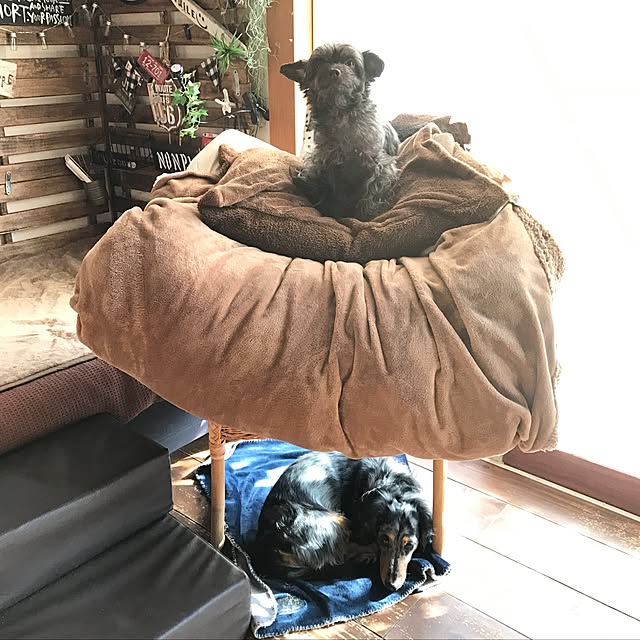 nonpiiiさんの実例写真