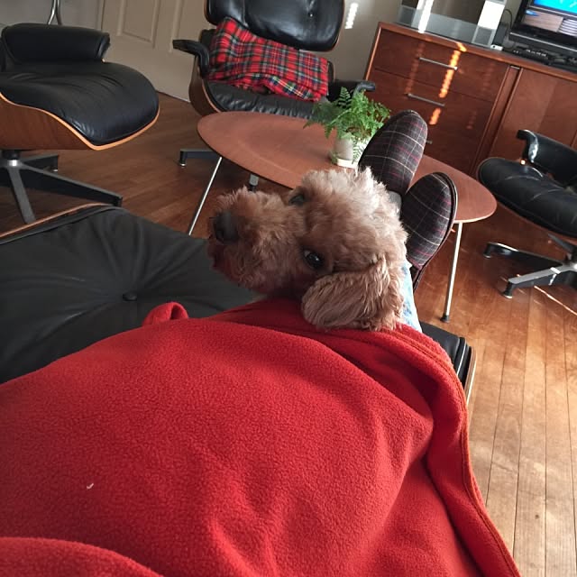Hiroさんの実例写真