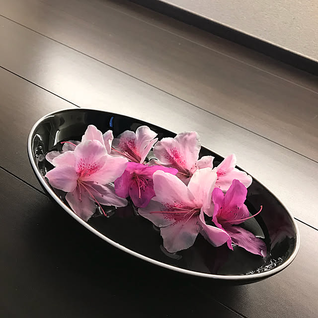 riakanaさんの実例写真