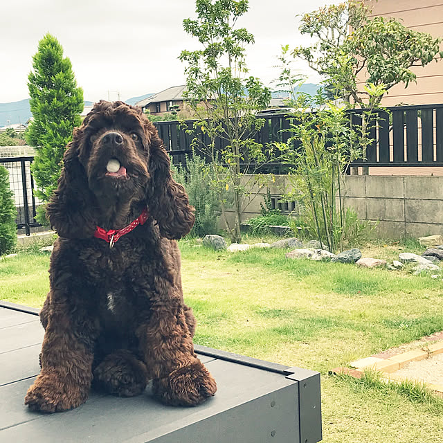 Saorinさんの実例写真