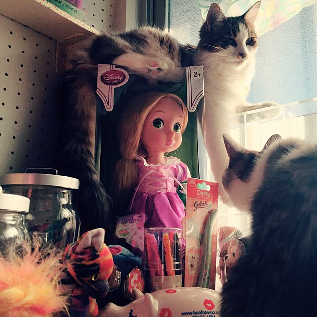 実例写真