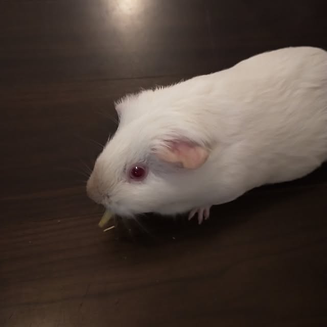 roomicさんの部屋