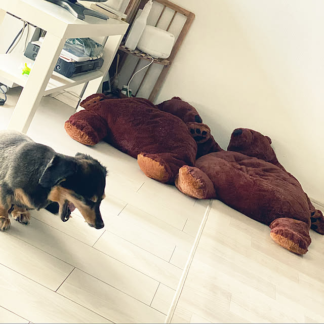 ohanaさんの実例写真