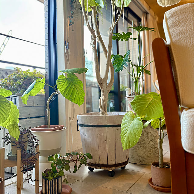 momo_sanさんの部屋