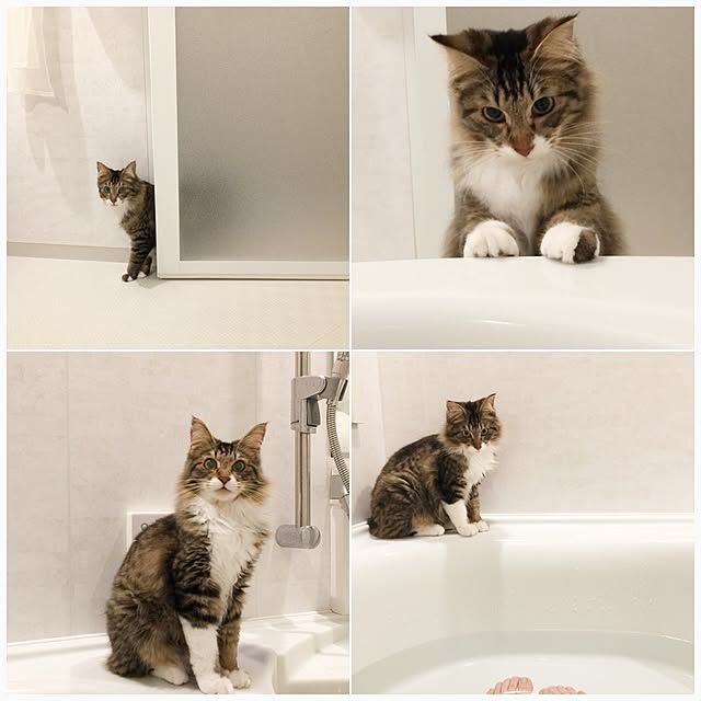 yuchiさんの実例写真