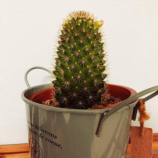 namilimさんの実例写真