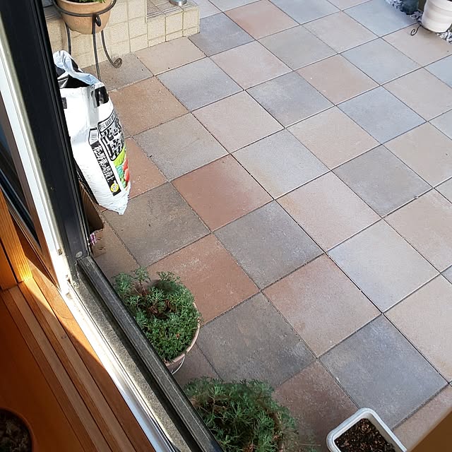 yumiyumiさんの部屋