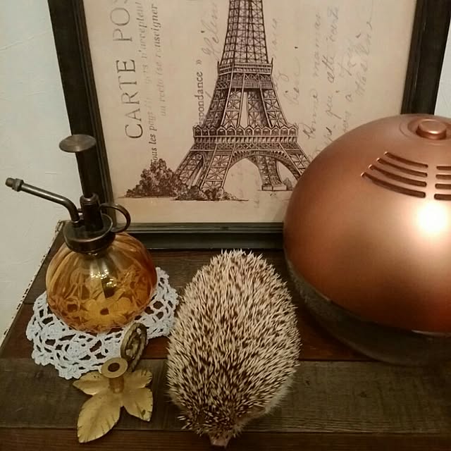kuruさんの実例写真