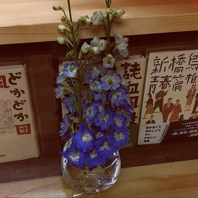 Yukaさんの実例写真