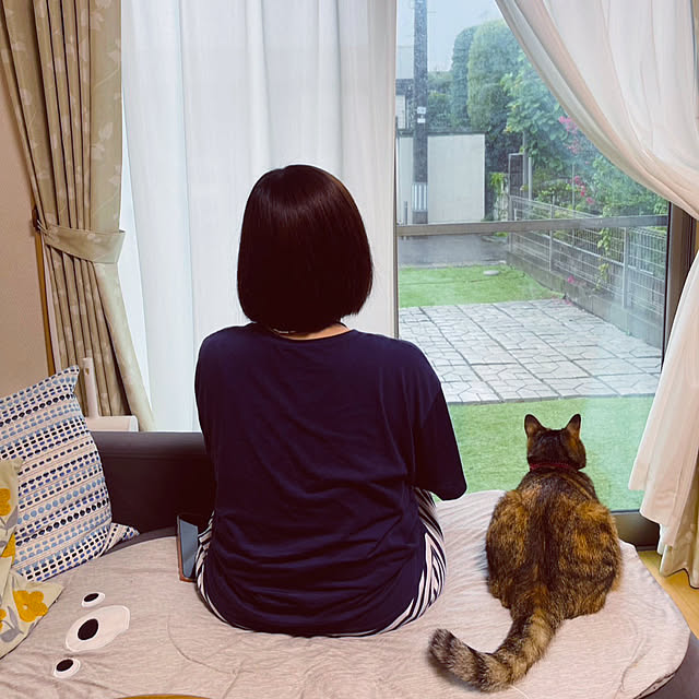 実例写真