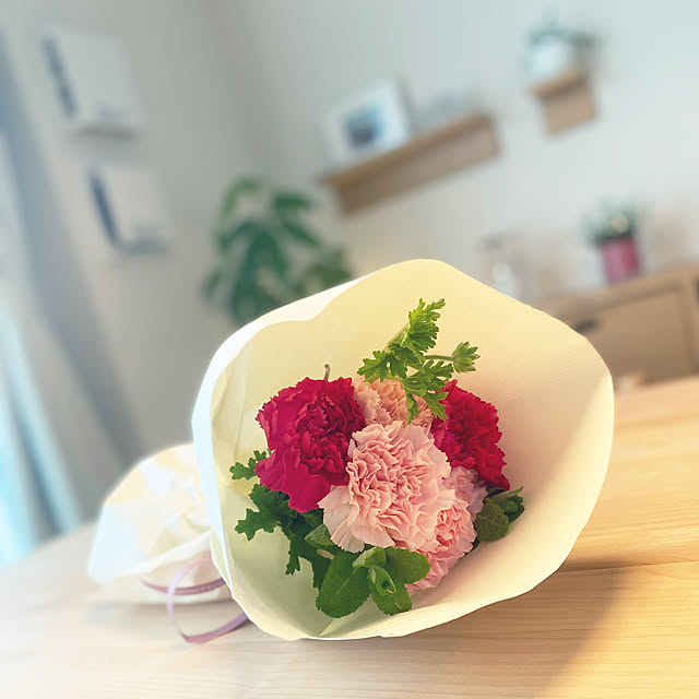 Anthuriumさんの部屋