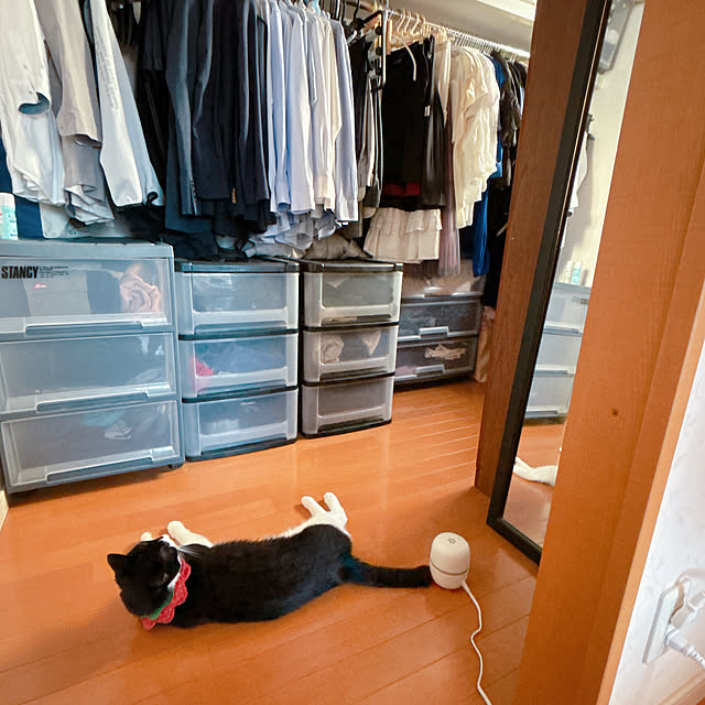 moolさんの実例写真