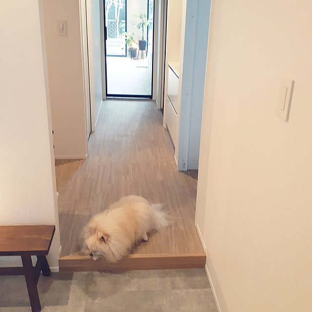 noahさんの実例写真