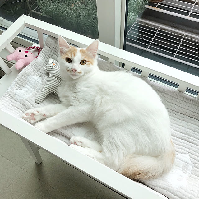 yuchiさんの実例写真