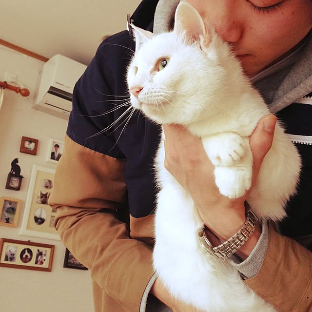 Kinanさんの実例写真