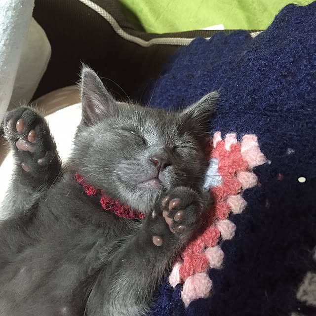8717さんの実例写真
