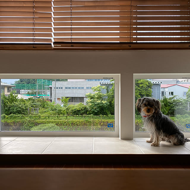 poohpoohさんの実例写真