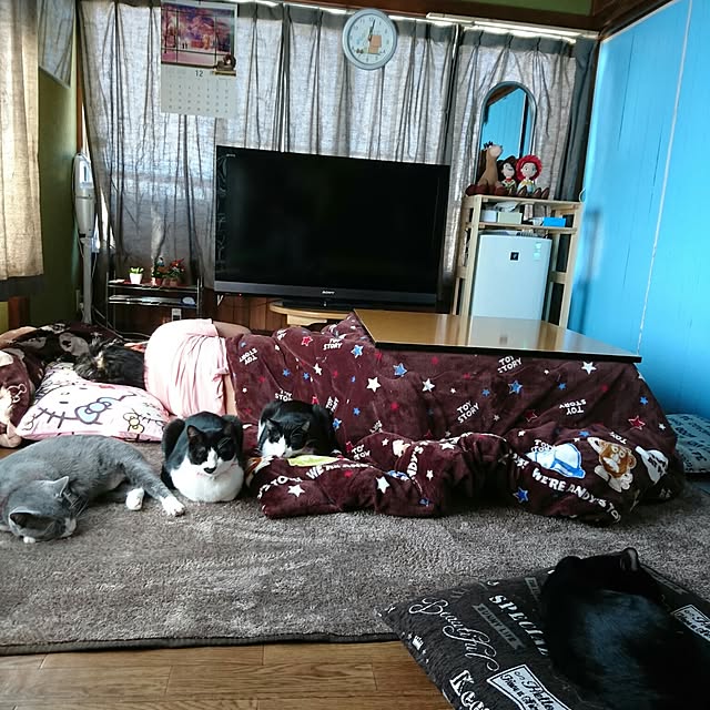 Marinyanさんの実例写真