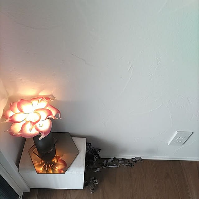 Maroさんの実例写真