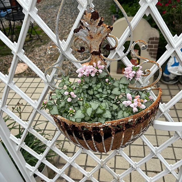 chIoeさんの部屋