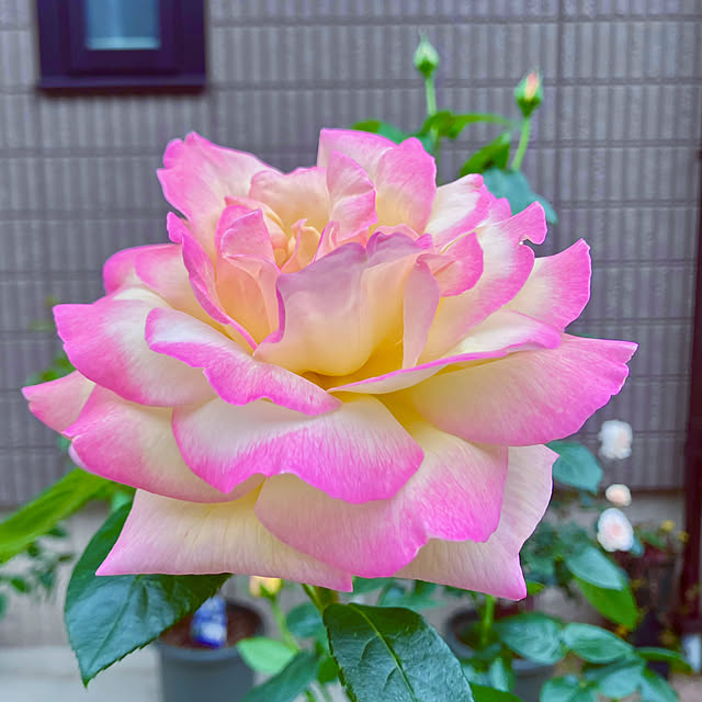 tinkunさんの部屋