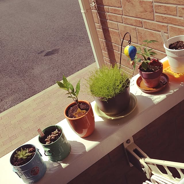 Ponkoさんの実例写真