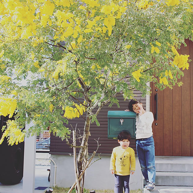 Yutaさんの実例写真