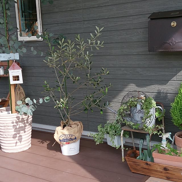 玄関/入り口/雑貨/植物/アンティーク/ハンドメイドのインテリア実例 - 2015-02-12 20:52:28