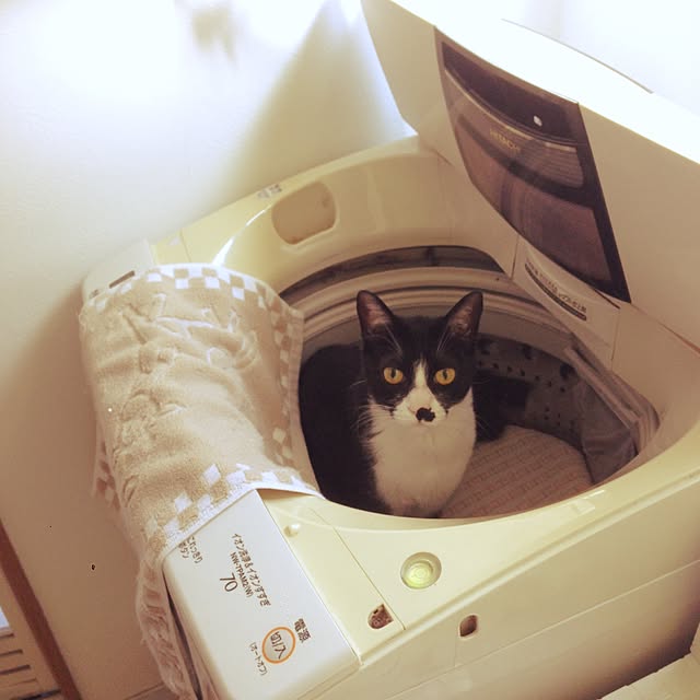 Kinanさんの実例写真