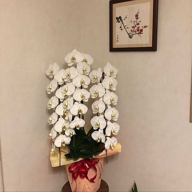 xiaohuai7788さんの実例写真