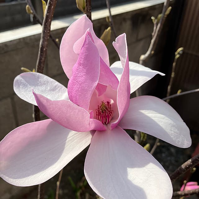 ikubooさんの部屋