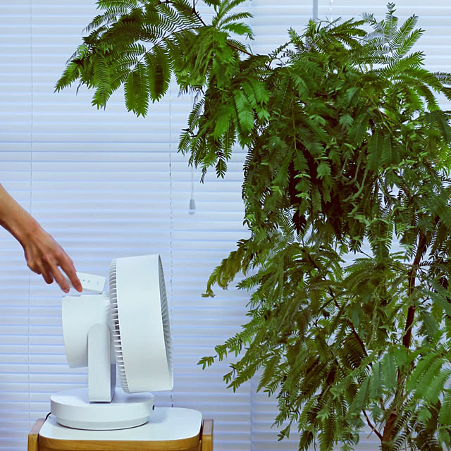 ak3さんの実例写真
