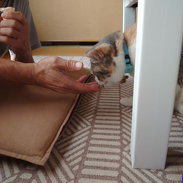 fukuさんの実例写真