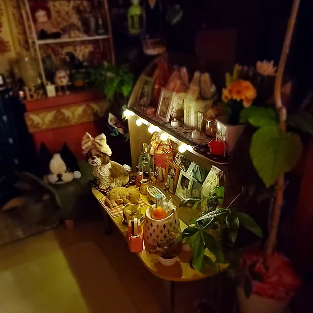 kumutanさんの部屋