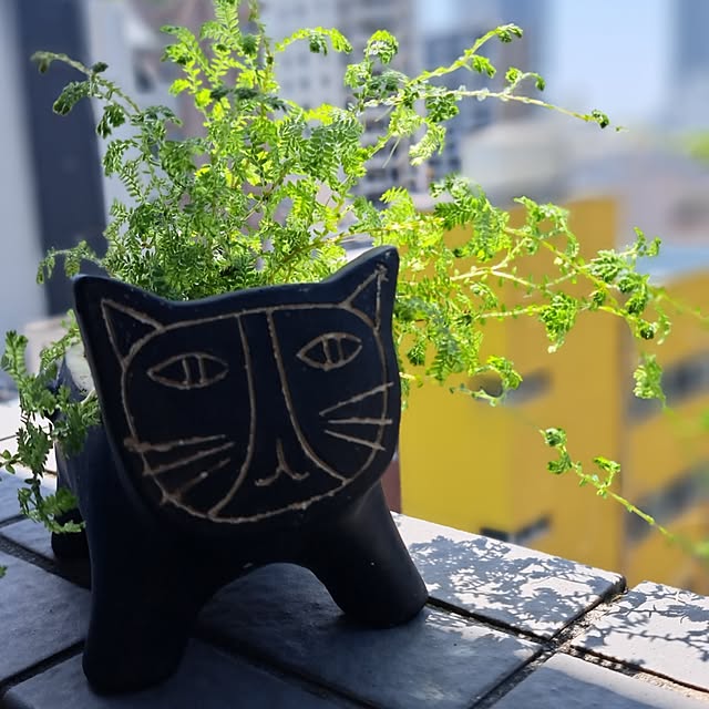 noaさんの実例写真