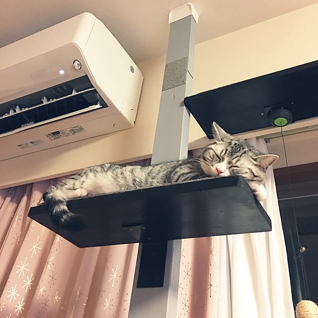 Shojiさんの実例写真