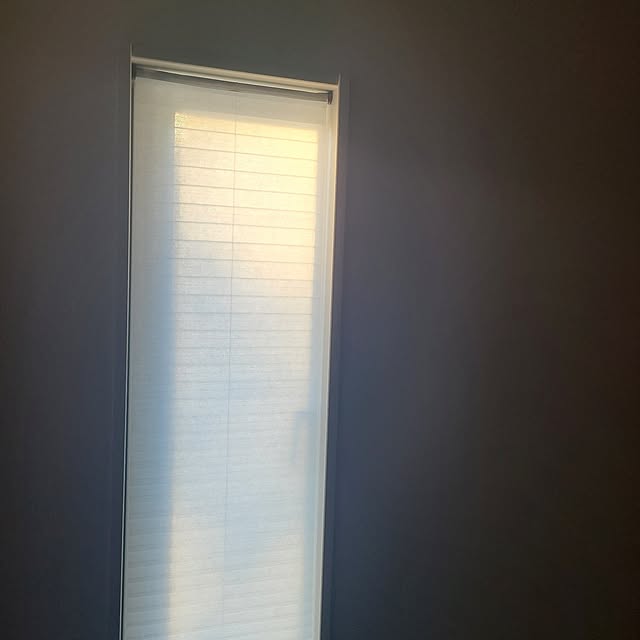 Rubiconさんの実例写真
