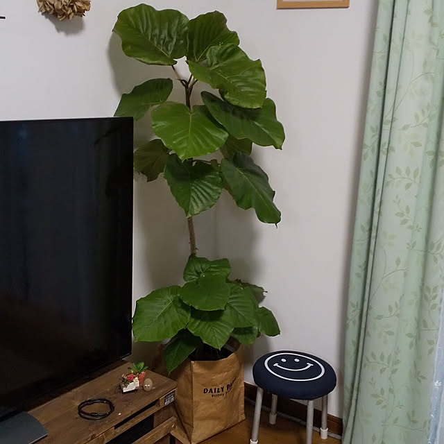 yasue.ichnoさんの実例写真