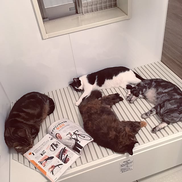 mikomaruさんの実例写真