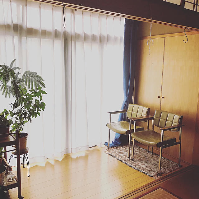 botanさんの実例写真