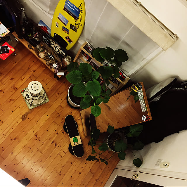 codaさんの実例写真