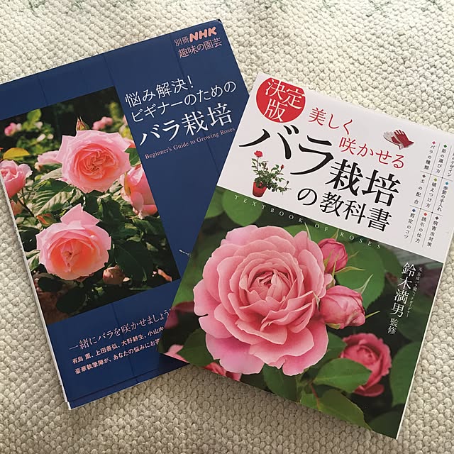 ray55さんの実例写真