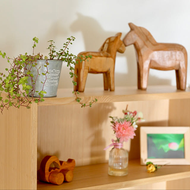 haruisabelさんの部屋