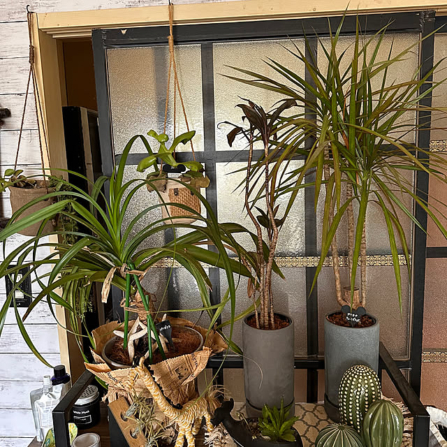 Rindasanさんの部屋
