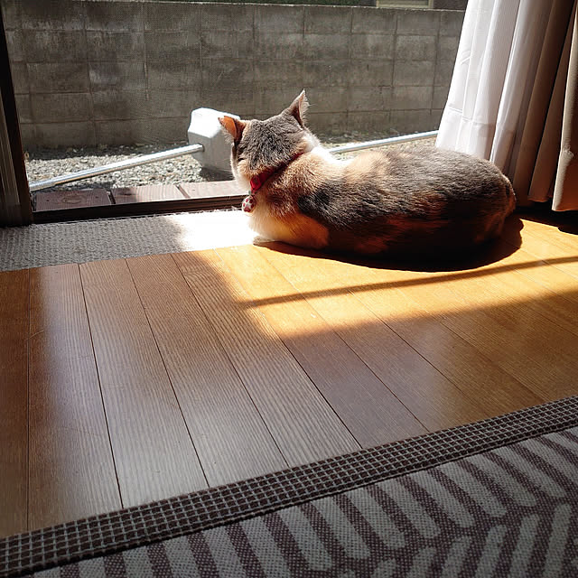 fukuさんの実例写真