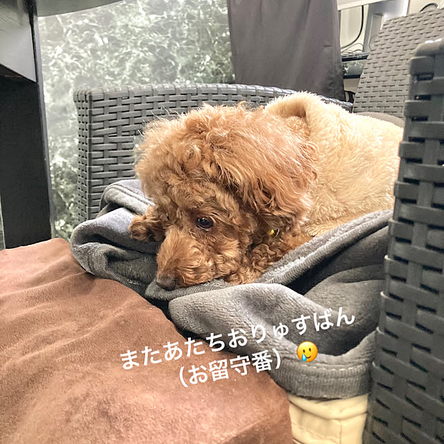 MOMOMAMAさんの部屋