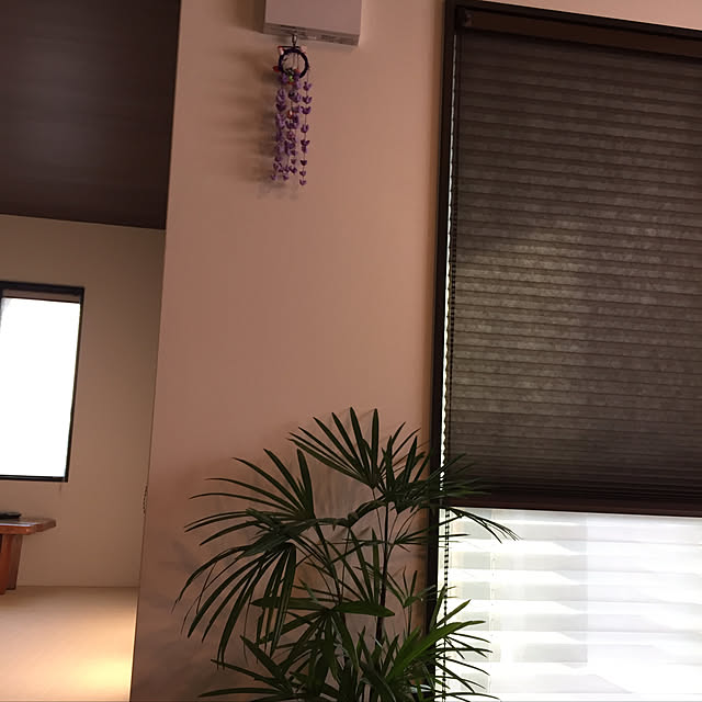 koroさんの実例写真